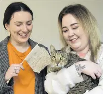  ?? PHOTO: GERARD O'BRIEN ?? Not so purrfect a crime . . . Holding the remains of her stolen knitting is Georgia Clarke (left) with Alex McNair and her pilfering tabby Milo.