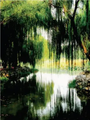  ??  ?? Sweeping willow trees frame the lakes of Yuanmingyu­an Park, or the Old Summer Palace. Miyun District, in northeaste­rn Beijing, can make tourists feel as though they are worlds away from the city center.