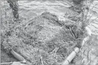  ?? SHARON MONTGOMERY-DUPE/CAPE BRETON POST ?? One of the loon island nesting platforms built by the Port Morien Wildlife Associatio­n.