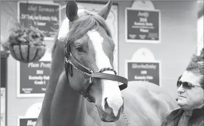  ?? TIMOTHY D. EASLEY / AP ?? Triple Crown winner Justify is led around Monday in front of his barn by assistant trainer Jimmy Barnes following his arrival back at Churchill Down in Louisville, Ky. Justify’s trainer, Bob Baffert, said there had been no decision made on whether to...