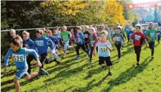  ?? Foto: LG Reischenau ?? Nachdem der Crosslauf in Dinkelsche­rben im vergangene­n Jahr wegen eines Sturms abgesagt werden musste, freuen sich besonders die Jüngsten, dass sie am Sonntag an den Start gehen können.