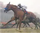  ?? ASSOCIATED PRESS PHOTOS ?? Justify ridden by jockey Mike Smith — who has ties to New Mexico — wins the Belmont Stakes, from left, on Saturday; the Preakness Stakes on May 19; and the Kentucky Derby on May 5. The three wins claim the Triple Crown.