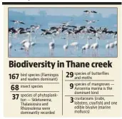  ?? SOURCE: SALIM ALI CENTRE FOR ORNITHOLOG­Y AND NATURAL HISTORY AND BN BANDODKAR COLLEGE OF SCIENCE THANE ??