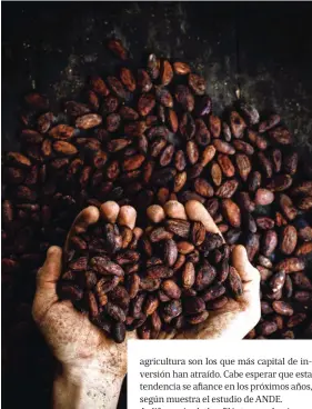  ??  ?? La alta calidad del café de Colombia atrae a los inversioni­stas.