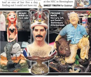  ??  ?? READY MAID On rock cake FREDDIE MADE Mercury, left, and David ‘Battenburg’ Attenborou­gh