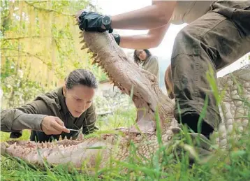  ?? COURTESY OF PARAMOUNT PICTURES ?? In “Annihilati­on,” Natalie Portman, left, plays a biologist-turned-warrior who enters a parallel universe to save her husband.