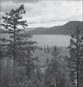  ?? FRIENDS OF FINTRY PROVINCIAL PARK SOCIETY ?? The Fintry Delta. Circa 1930s.