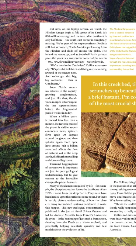  ??  ?? The Flinders Ranges were once a seabed, hardened by time and buckled into mountains by tectonic forces. The false-colour aerial view (left) shows the rugged folds of the Vulkathunh­a-gammon Ranges National Park.
Years of erosion have cut through the rock, revealing impression­s including fossils representi­ng the earliest multicellu­lar organisms on Earth. Spriggina floundersi
(below) is one such early species, dating back to the Ediacaran Period. There is still some debate about where the Ediacaran biota belongs in the tree of life – scientists aren’t yet sure if these early fossils represent plants, animals, or something in between.