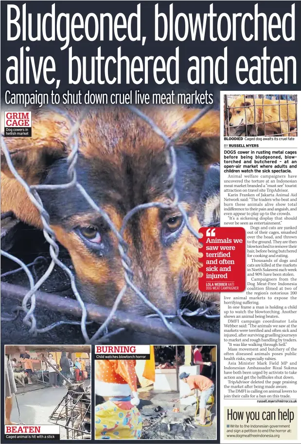  ??  ?? Caged animal is hit with a stick Child watches blowtorch horror BLOODIED Caged dog awaits its cruel fate BEATEN BURNING