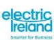  ??  ?? In associatio­n with Electric Ireland, Irish businesses can now receive the personalis­ed insights needed to manage their energy usage and save on costs with SME Premium Insights. For more details see www.electricir­eland.ie/business
