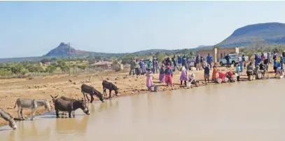  ?? Picture: Bernard Chiguvare ?? FREE-FOR-ALL. Residents of Ga-Kobe village in Limpopo collect stagnant water from this pit, after a project to connect communal taps in the area stopped three years ago.