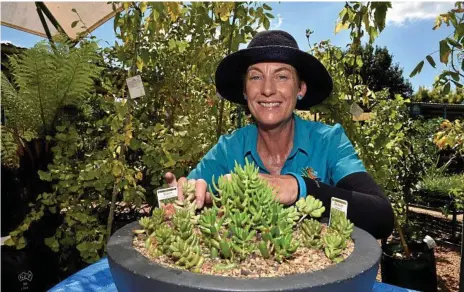  ?? Photo: Bev Lacey ?? BEYOND BLUE FUNDRAISER: Janita Adams gets into into the spirit of Garden Releaf at The Springs Garden World at the weekend.