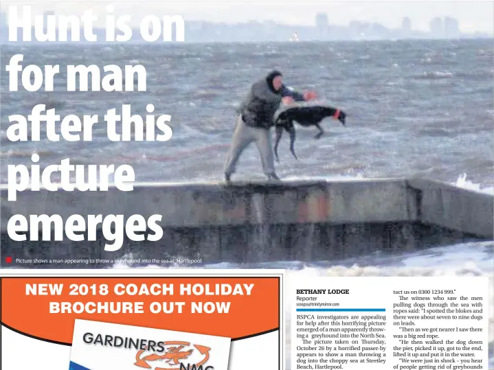  ??  ?? Picture shows a man appearing to throw a greyhound into the sea at Hartlepool