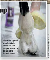  ??  ?? Invest in a good quality stain remover and purple shampoo to help lift fetlock stains