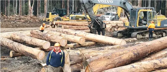  ??  ?? Brett Robin of Noojee based Robin Logging fears the state government’s plan announced last week will mark the end to five generation­s in the timber industry for his family.