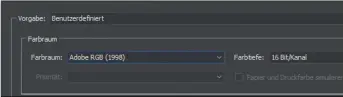  ??  ?? TIFF für alle Fälle: Geben Sie in den Arbeitsabl­auf-Optionen 16 Bit Farbtiefe vor.