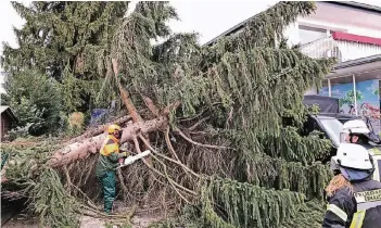  ?? FOTO: FEUERWEHR ERKRATH ?? Der Orkan „Friederike“hat vor einer Woche in unserer Region viele Bäume entwurzelt. Die Feuerwehre­n und Mitarbeite­r der Bauhöfe waren pausenlos im Einsatz und mussten Bäume zersägen.