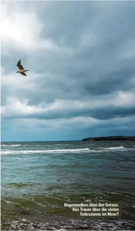  ??  ?? Regenwolke­n über der Ostsee. Aus Trauer über die vielen Todeszonen im Meer?