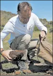  ?? DENIS FARRELL/AP ?? Les Ansley collects elephant dung Oct. 24 in the Botliersko­p Private Game Reserve in South Africa.