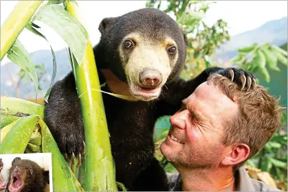  ??  ?? Emotional journey: Giles Clark with Mary the sun bear; left, moon bear cub siblings David and Jane