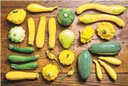  ?? FOR THE WASHINGTON POST ?? SCOTT SUCHMAN
Types of summer squash include (clockwise from lower left) golden zucchini and green zucchini; the scallopedg­e, saucer-shape pattypan; the club-shape yellow squash; the spherical eight ball; the green-tipped zephyr; the stout green cousa; squash blossoms; and (at center) the pear-shape chayote.