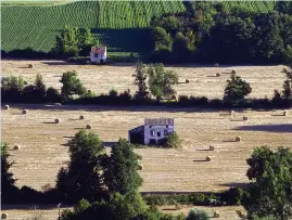  ?? Picture: GETTY ?? French yields...scientists claim that EU subsidies benefit richer regions