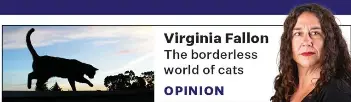 Virginia Fallon - PressReader