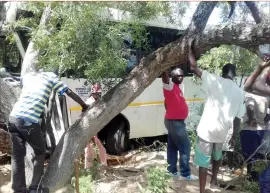  ??  ?? The bus which ran over pedestrian­s in Marula came to a stop in a thicket after veering of the road (Picture by Mlungisi Sibanda)