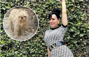  ?? FoTo ig ?? ¿Qué pasó? Esta foto con Sadie recién bañado se prestó para malas interpreta­ciones. Su dueña, Maribel Guardia, ama con locura a su mascota.