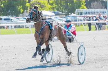  ??  ?? Marcoola smashes the NZ mile record for a trotter at Ashburton yesterday.