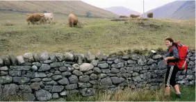  ??  ?? Above left: Peacefull and still - Lock Lomond. Middle left: Duncan takes a break on the Military Road to Kinlocklev­en. Below left: Nevis Forest a few miles from Fort William. Below right: Judy confronts highland cattle for the first time.