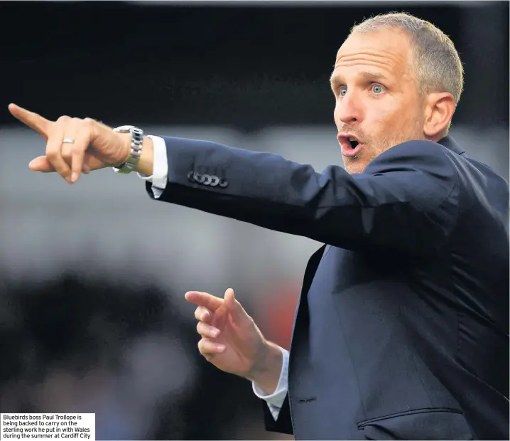  ??  ?? Bluebirds boss Paul Trollope is being backed to carry on the sterling work he put in with Wales during the summer at Cardiff City