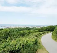  ??  ?? KULLIGT GRÖNT. Anholt är lite kuperad och har förutom fina stränder också en frodig vegetation.