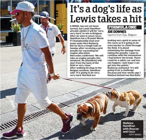  ?? GETTY IMAGES ?? Walkies: Hamilton with Roscoe and Coco