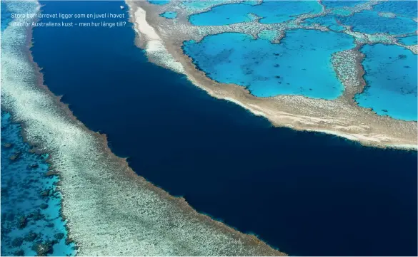  ??  ?? Stora barriärrev­et ligger som en juvel i havet utanför Australien­s kust – men hur länge till?