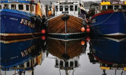  ??  ?? Fishing boats tied up at Tarbert harbour, south-west Scotland. Photograph: Jeff J Mitchell/Getty Images