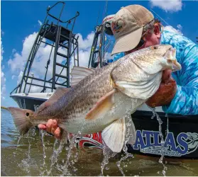  ??  ?? NEED A LIFT?: A plump Venice redfish comes to the boat for hook removal and a quick release, above.