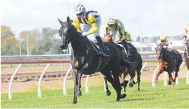  ?? Photo / Trish Dunell ?? Intrigue will contest the Listed Gold Coast Bracelet (1800m) on Saturday.