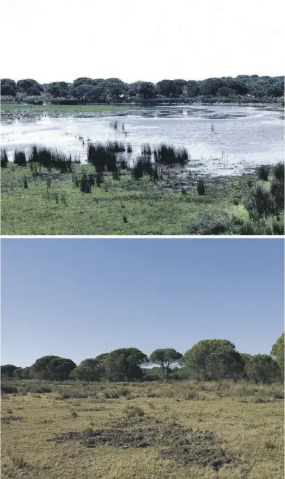  ?? Foto: dpa ?? Die Lagune El Zahillo im Jahr 1989 (oben) und im Jahr 2019, also vor vier Jahren.