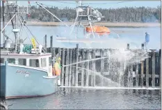  ?? TINA COMEAU PHOTO ?? Firefighte­rs spray foam and water on the wharf on the Town Point Road in Yarmouth County last week, aided by fishermen who were able to get firefighte­rs closer to the wharf. Other fishermen on boats sprayed the fire from the outer side of the wharf.