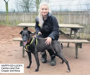  ??  ?? HAPPY-GO-LUCKY: Canine carer Eve Cooper and Nova