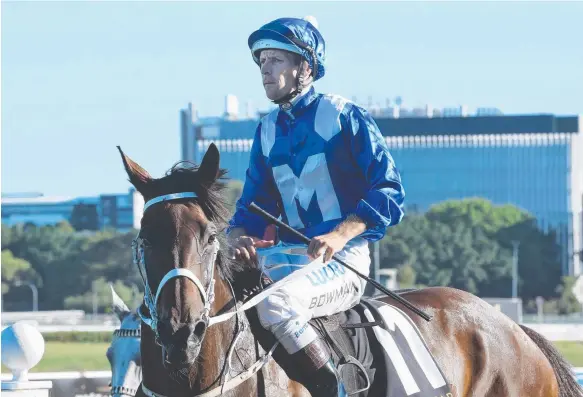  ??  ?? Winx, ridden by Hugh Bowman, returns to scale after her Apollo Stakes win. Today she runs in the Chipping Norton Stakes (1600m) at Randwick