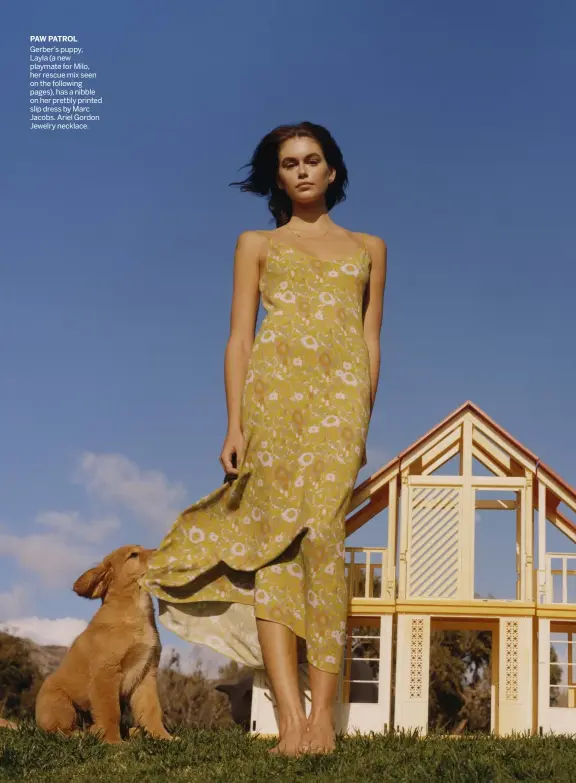  ??  ?? PAW PATROL
Gerber’s puppy,
Layla (a new playmate for Milo, her rescue mix seen on the following pages), has a nibble on her prettily printed slip dress by Marc Jacobs. Ariel Gordon Jewelry necklace.