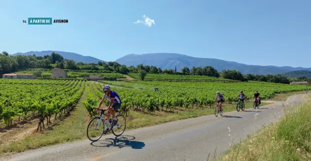  ??  ?? Sur la route D147 bordée de vignes, avec le mont Ventoux en arrière-plan, la petite équipée se dirige vers le village de Propiac.