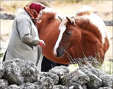  ??  ?? HOLIDAY
HEAVEN: The Queen feeds one of her horses on her estate at Balmoral, left