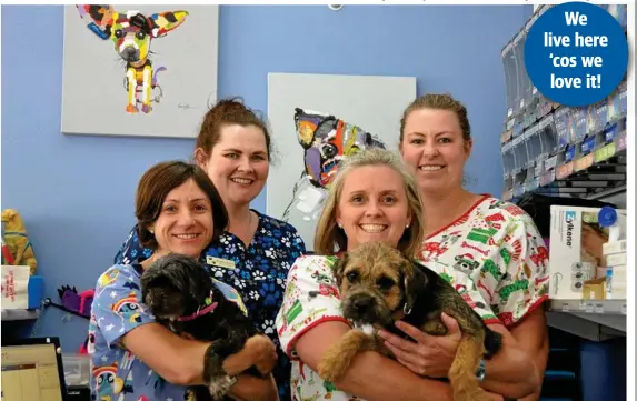  ?? Photo: Sean White ?? SPECIAL CLINIC: All smiles at the Toowoomba Veterinary Hospital are (from left) Gemma Hunt, Tessa, Alice Murray, Chantal Jerrard, Harvey and Alex McClelland.