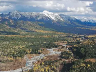  ?? HARVEY LOCKE/ CALGARY HERALD/ FILES ?? Scientists plan to count Flathead Valley’s wildlife on Friday.