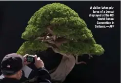  ??  ?? A visitor takes pictures of a bonsai displayed at the 8th World Bonsai Convention in Saitama.—AFP