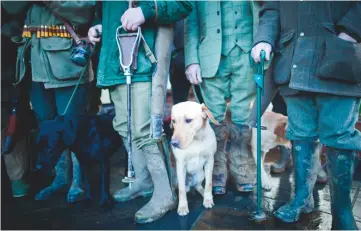  ??  ?? Gumboots and gundogs feature in a Barbour campaign for country kit