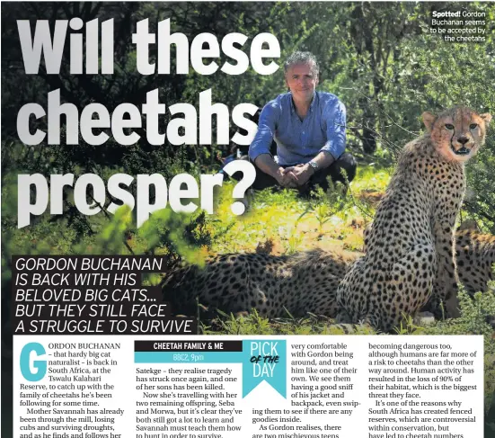  ??  ?? Spotted! Gordon Buchanan seems to be accepted by the cheetahs
